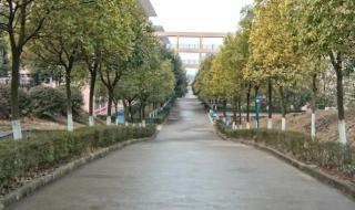 江西美佛儿国际学校 江西美佛儿国际学校